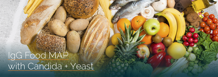 IgG Food MAP with Candida + Yeast Lab Test