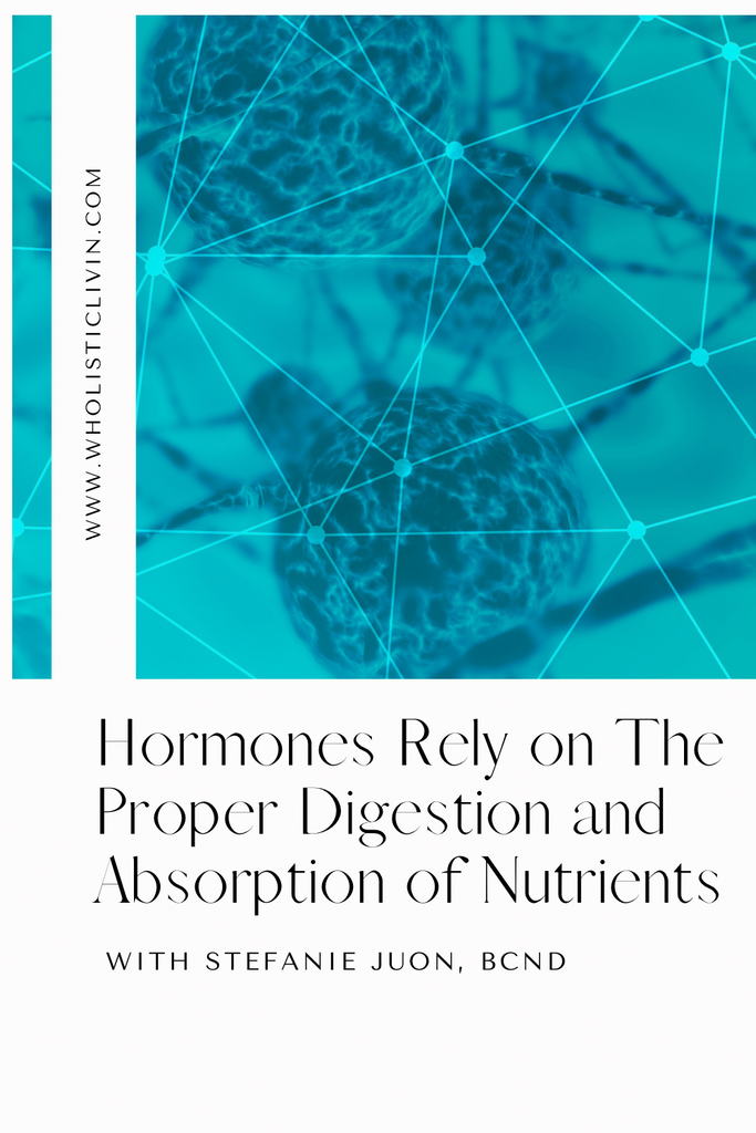 Hormones Rely on The Proper Digestion and Absorption of Nutrients