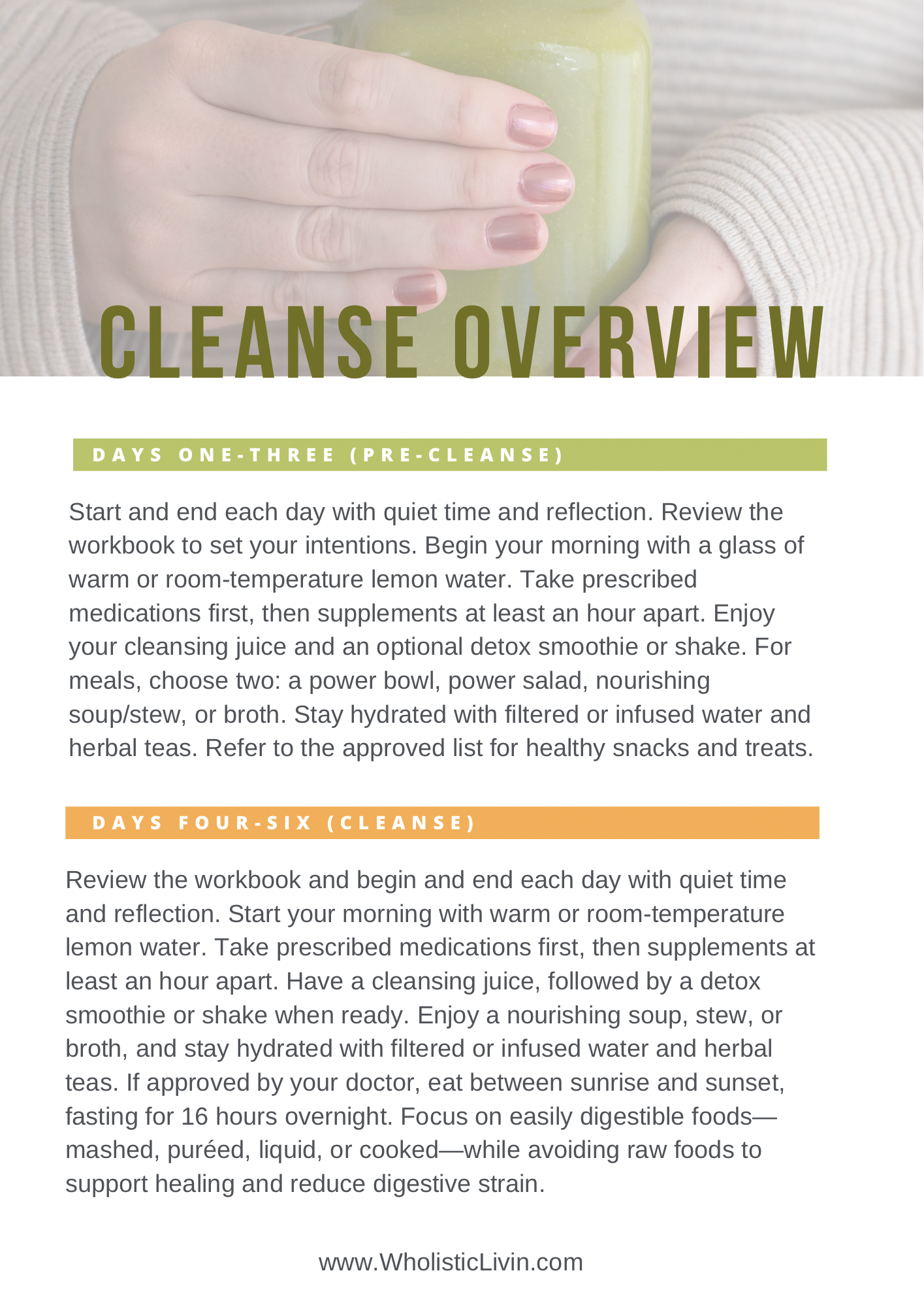 3-Day Cleanse, Nourish, & Rebuild Plan- Workbook and Guide