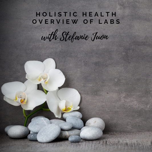 Holistic Health: Overview of Labs