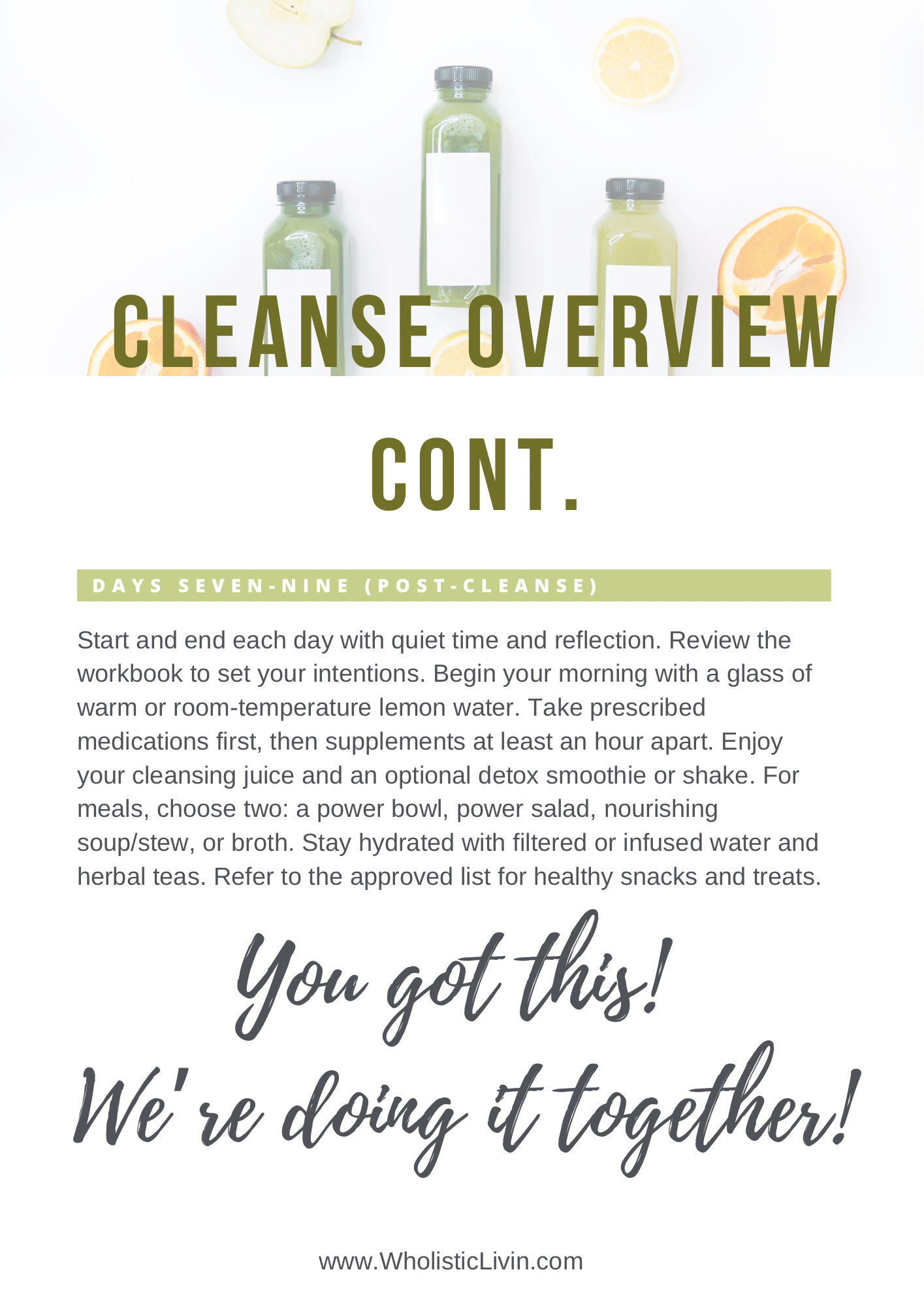 3-Day Cleanse, Nourish, & Rebuild Plan- Workbook and Guide