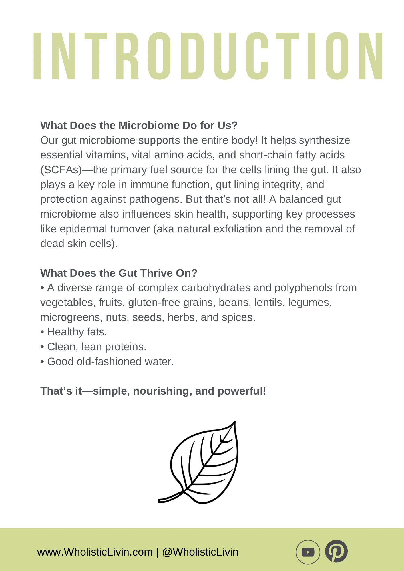 3-Day Cleanse, Nourish, & Rebuild Plan- Workbook and Guide