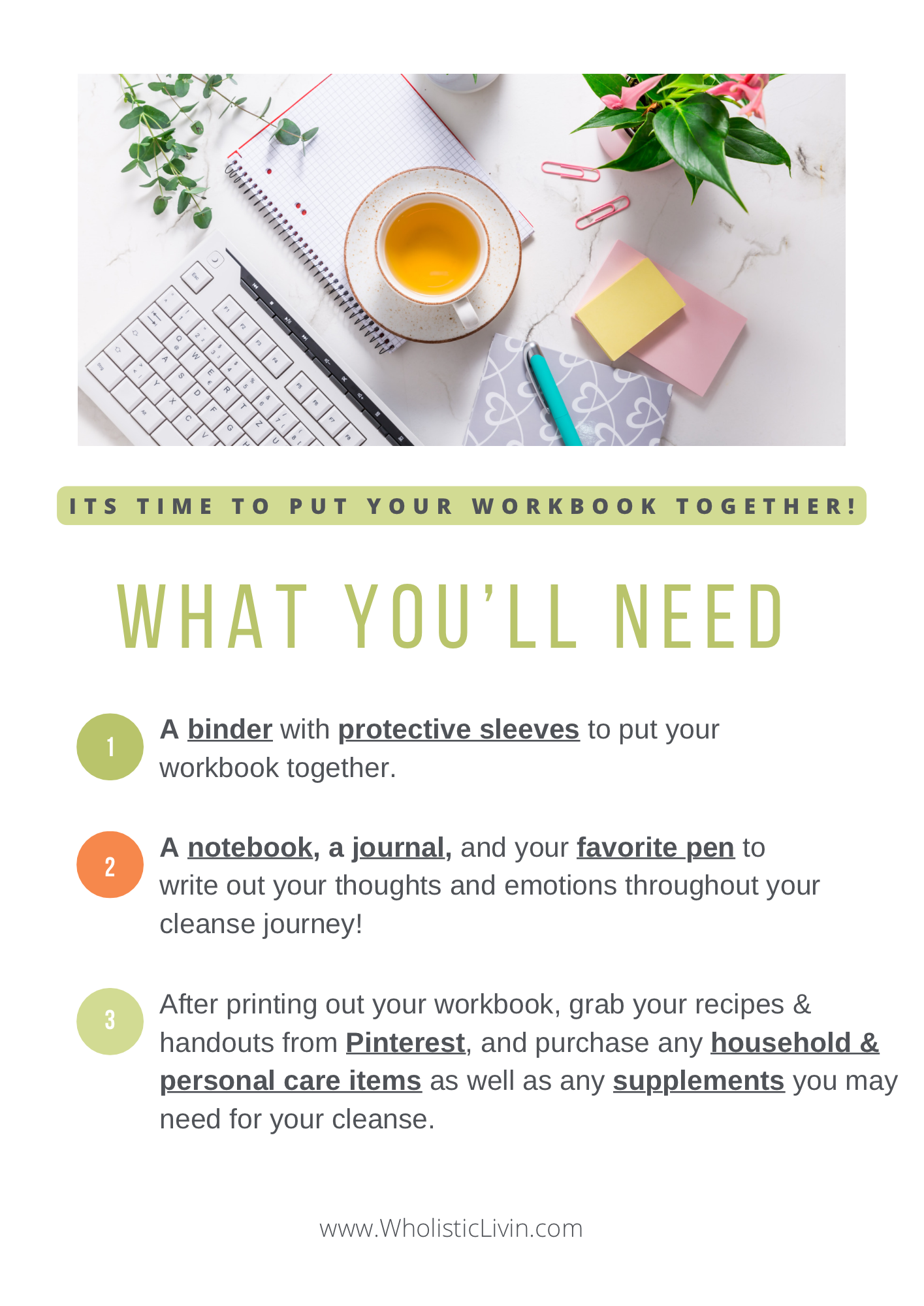 3-Day Cleanse, Nourish, & Rebuild Plan- Workbook and Guide