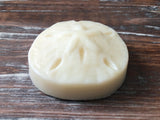 Hydro-Lotion Bar with Antioxidants | Sand Dollar