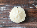 Hydro-Lotion Bar with Antioxidants | Sand Dollar